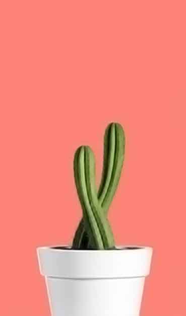 在线DDOS平台攻击